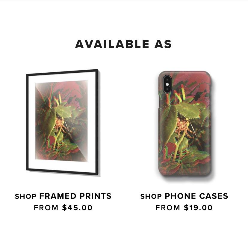 Phexst's tweet photo. Spider bite is the second new photograph in my line of products from My “mipic”shop. Love how the greenery real shows off amongst all the red and pink. #spiders #photooftheday #PhotographyIsArt #ArtistOnTwitter #art #nature #ImagineMirror https://t.co/G2djIQExos
