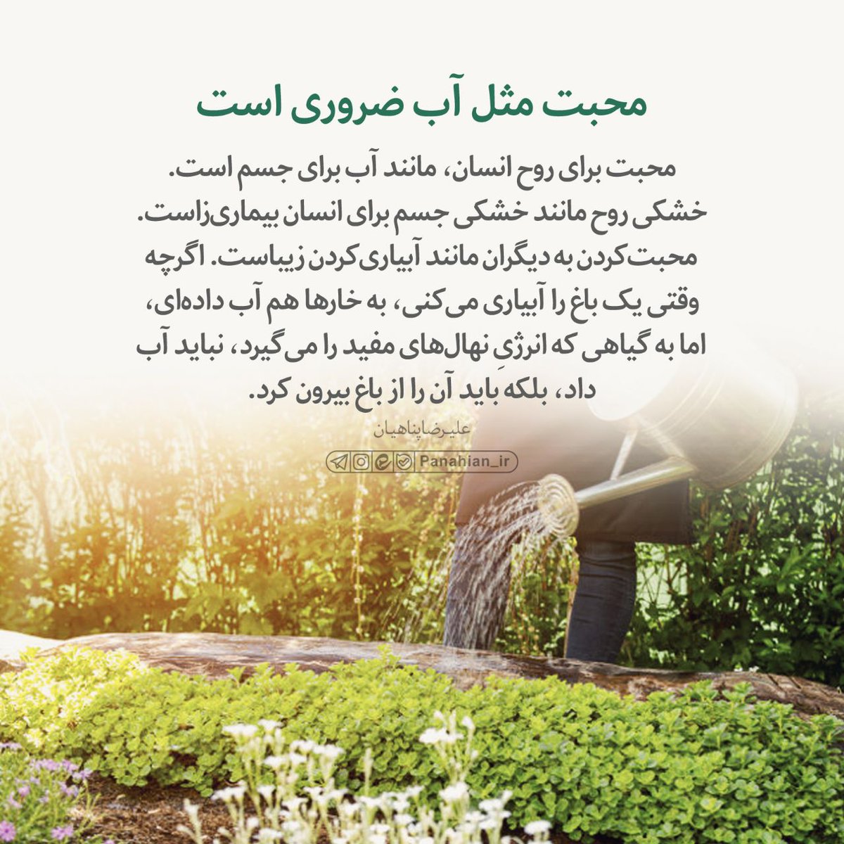HayatBartar_313's tweet photo. 💌 #پیام_معنوی | محبت مثل آب ضروری است

@Panahian_ir https://t.co/LyHIYvAP7f