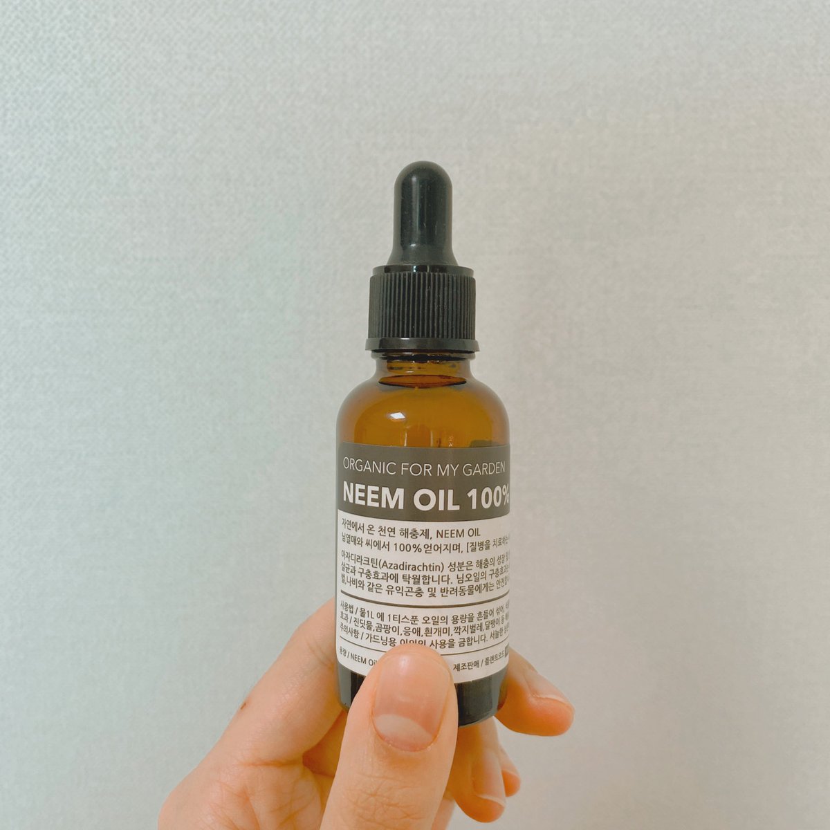 식물아래🌿이젤 tweet media