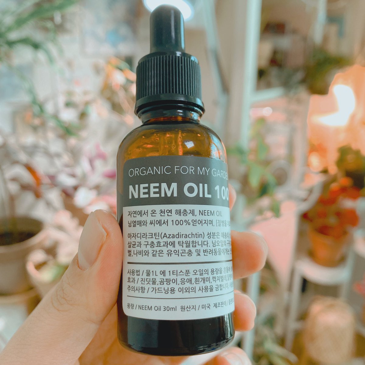 식물아래🌿이젤 tweet media