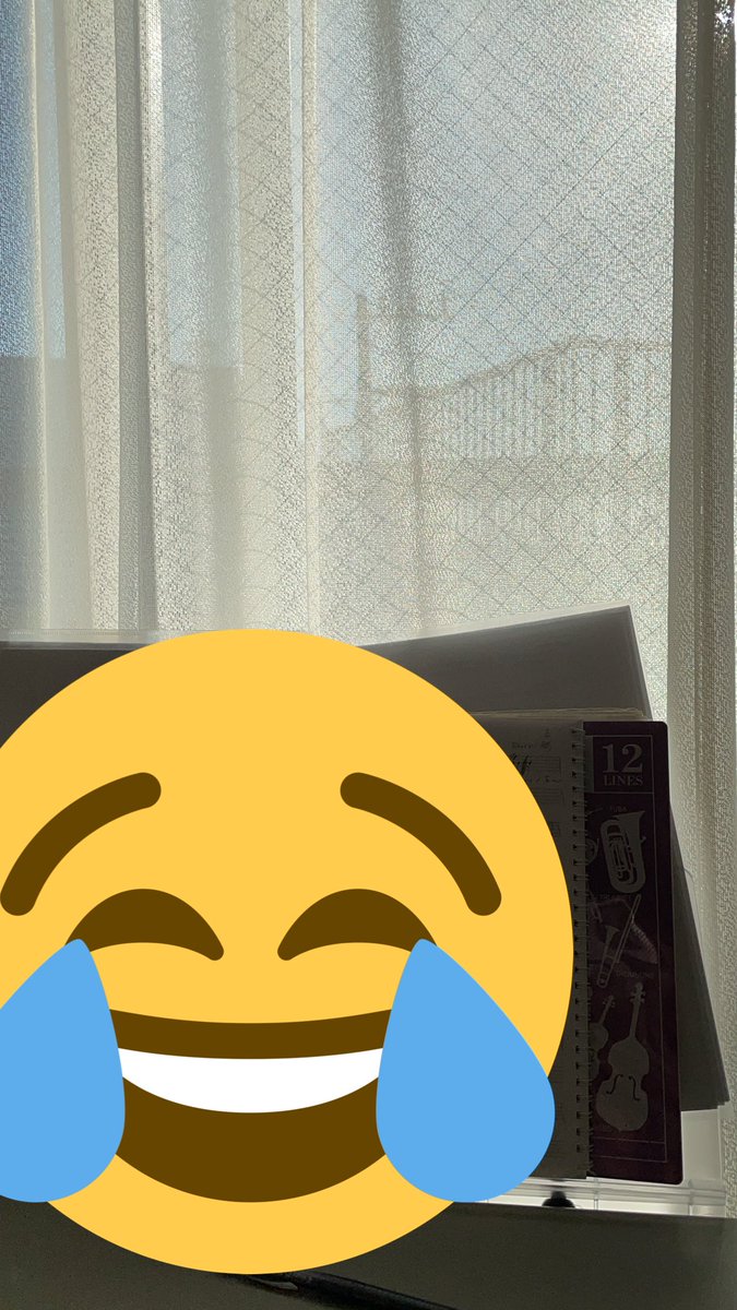 Satomi 4 25春m3第二展え 13 暑い 寒いはずなのに顔だけ暑い