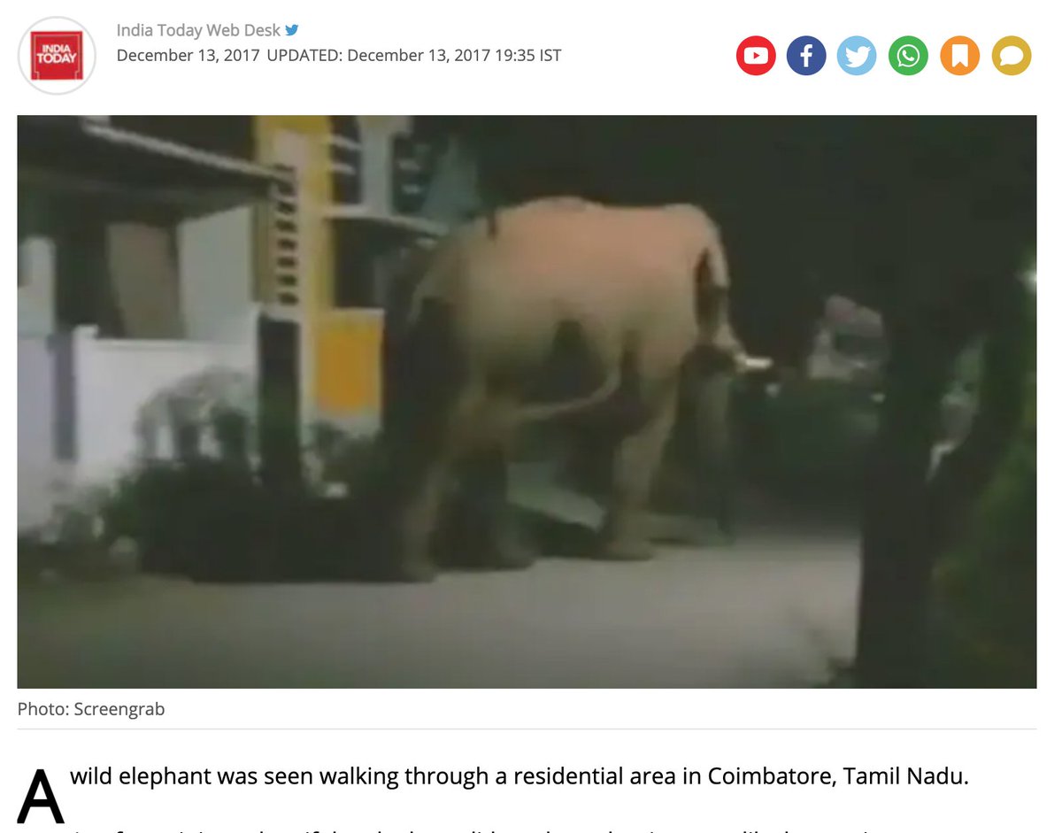 Here is an article from India today citing a wild elephant straying into one of the main residential areas of Coimbatore city in 2017 .. https://www.indiatoday.in/fyi/story/watch-elephant-strolling-in-coimbatore-residential-area-wildlife-1106451-2017-12-13
