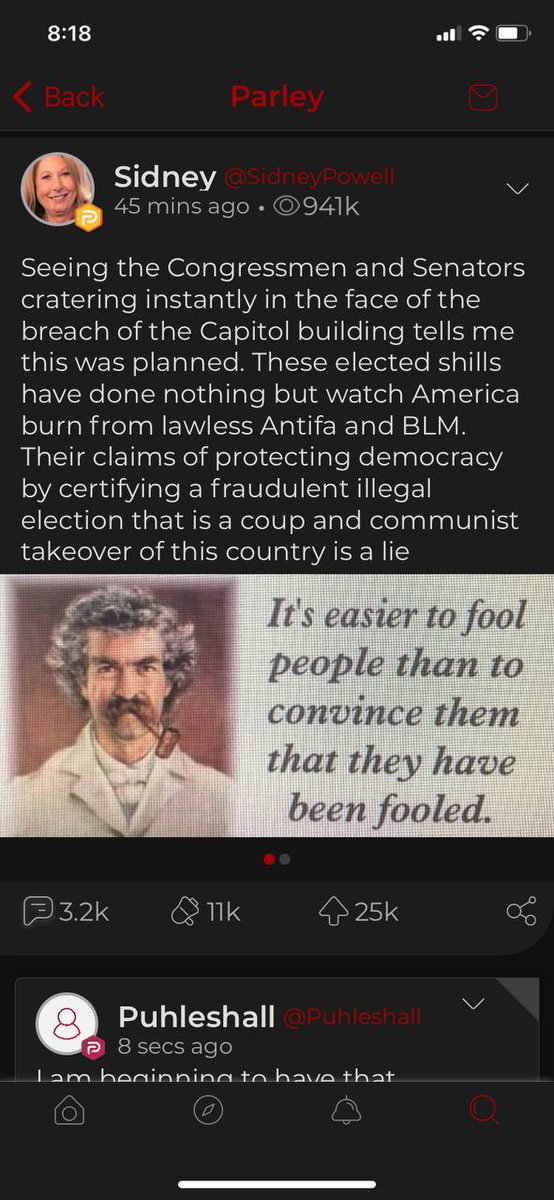 12/ we cannot downplay the important role Ron Watkins, Lin Wood and Sidney Powell have played in giving QAnon a platform to a wide audience in the past months. And yet they are still fanning the flames of hate and insurection. Powell and Wood have yet to be disbarred