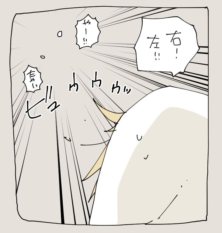 左右は飛ばされているよ 