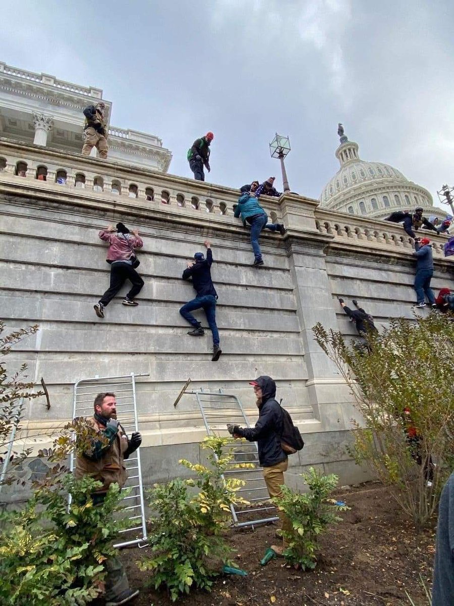 NelsonHavi's tweet photo. I encourage America to adopt peaceful and more effective ways of occupying Parliament. If you occupy violently, there will be no Michael Sialai to take you around your newly acquired and conquered territory and serve you tea as is the tradition in modern day occupations. ^DoS https://t.co/xGkeVPQjc4