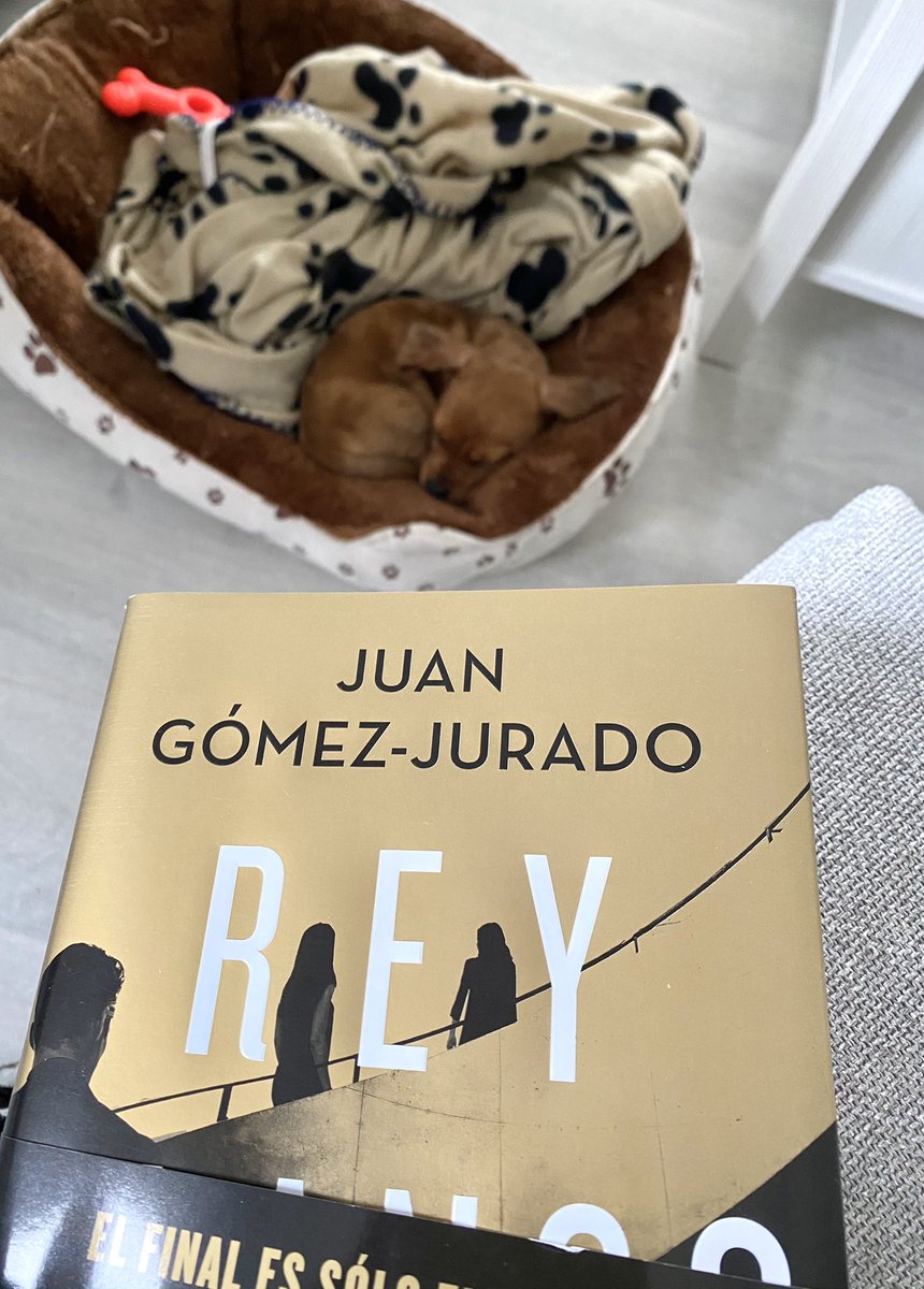 coquinio's tweet photo. Los mejores regalos de esta Navidad 🎄💙 #ReyBlanco @JuanGomezJurado y el nuevo miembro de la familia 🐶 https://t.co/aWZn3qUX18
