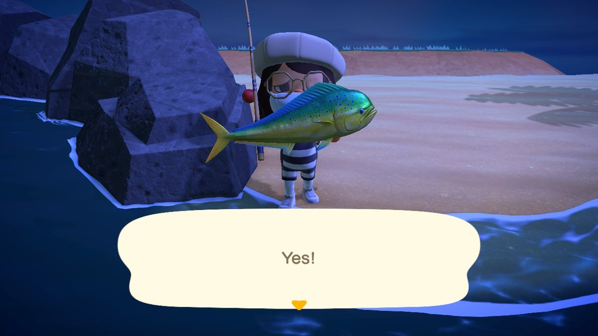 HighspR's tweet photo. f i s h . #AnimalCrossing #ACNH #NintendoSwitch https://t.co/eze9DvFtGp