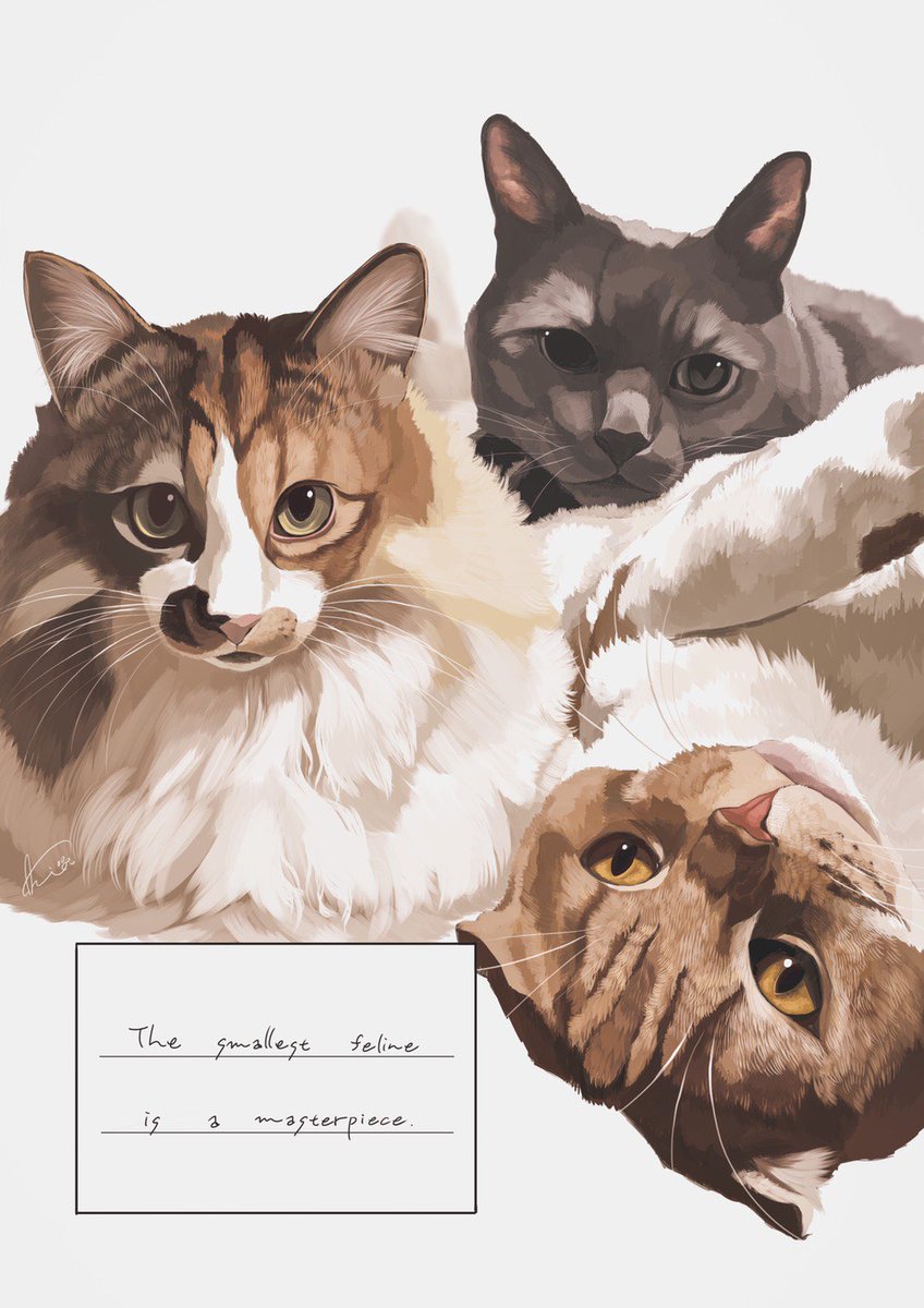 Sakio 今年もペットイラストレーターとしてもっと認知されるように頑張っていきます