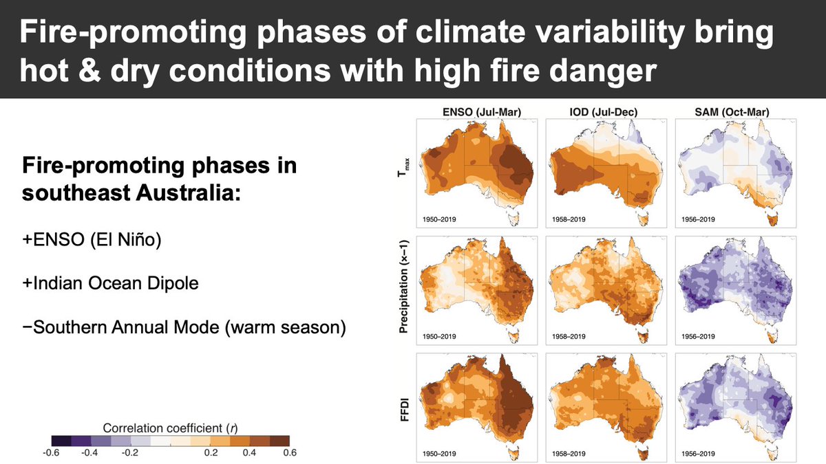Climate variability also contributed to the extreme climate in 2019.The phases of climate variability that increase fire risk in southeast Australia are El Niño events, positive Indian Ocean Dipole events, and a negative Southern Annular Mode in the warm season.