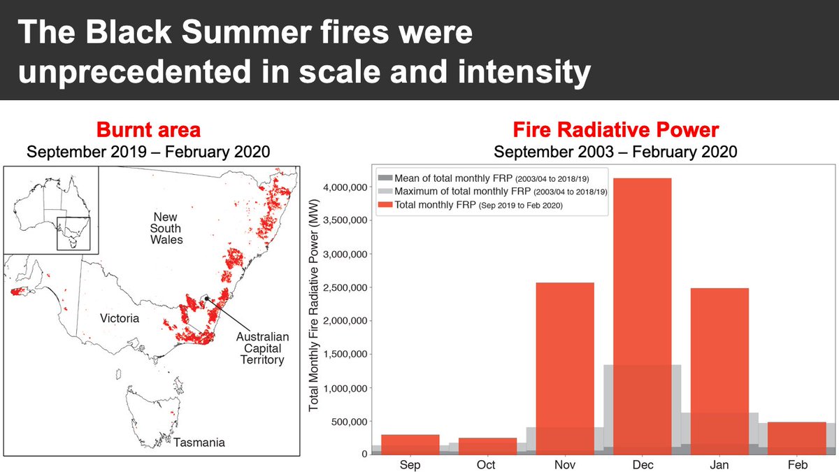 The  #BlackSummer fires were unprecedented:*In their scale (23% of all southeast Australia forests were burnt)*In their power (for every month of the spring and summer seasons), and*In the number of fires that developed into extreme pyroconvective events