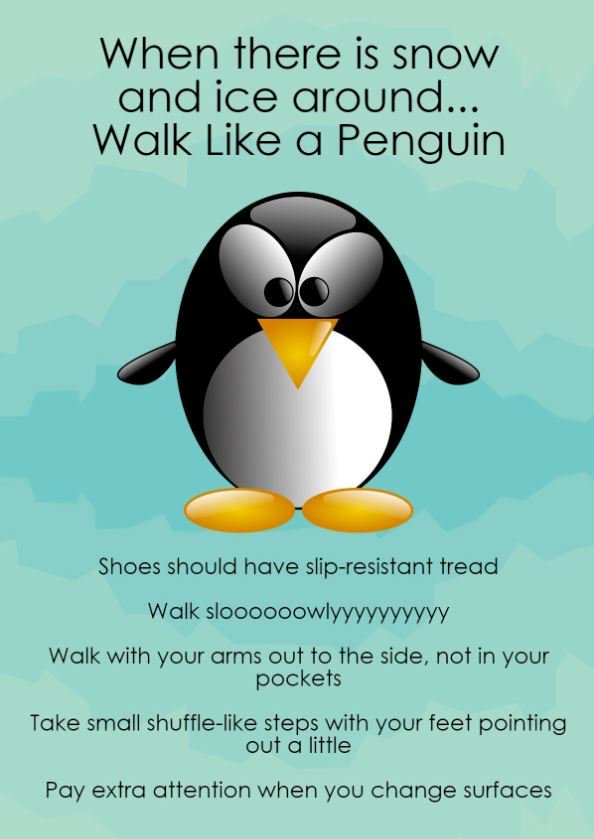 Do the penguin walk!  🐧 

Walking like a penguin in snow and ice will help prevent slips, trips and falls.

#sneachta #ice