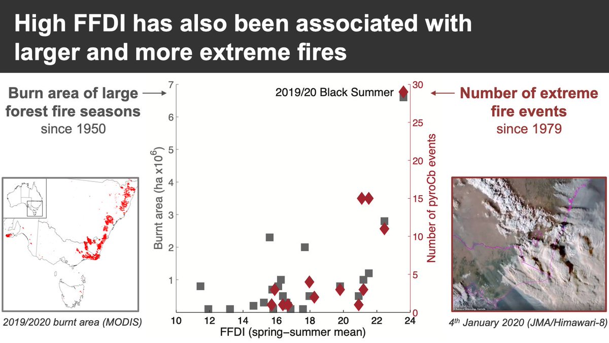 Unprecedentedly high FFDI during the  #BlackSummer was also matched by: *the largest forest burn area ever recorded, and *the greatest number of extreme pyroconvective events ever observed.