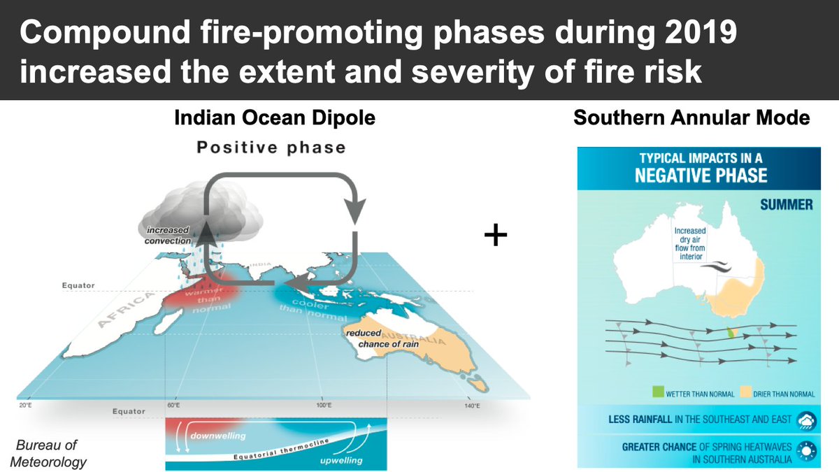 Having two or more of the climate modes have been in their fire-promoting phase significantly increases the risk of large fires.In 2019 the compound effects of +IOD and -SAM increased the extent and severity of fire risk in southeast Australia.