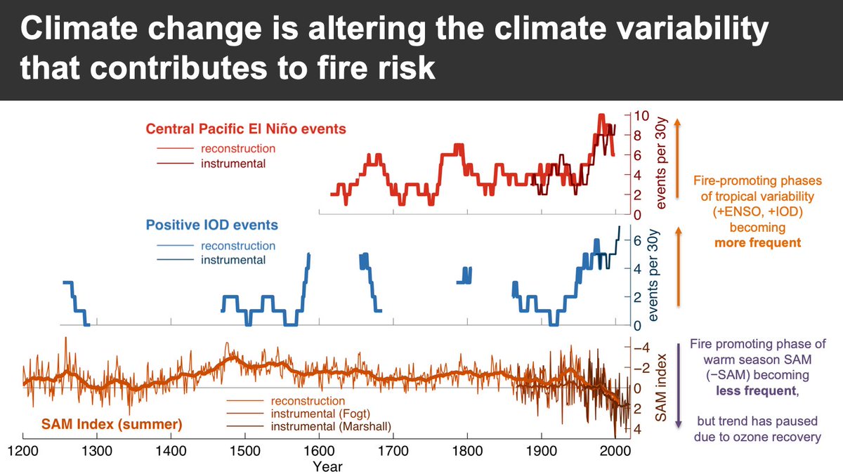 But climate variability is also being altered by climate change. Fire-promoting phases of tropical climate variability have now become more frequent than any time in the last several hundred years.