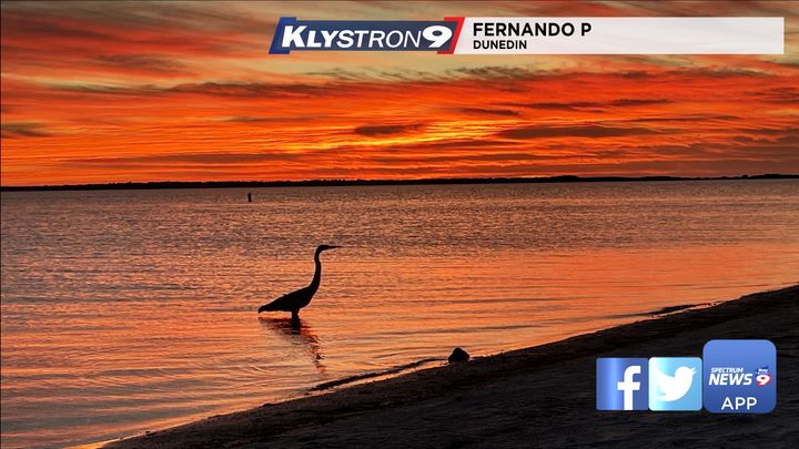 Spectrum Bay News 9 tweet media