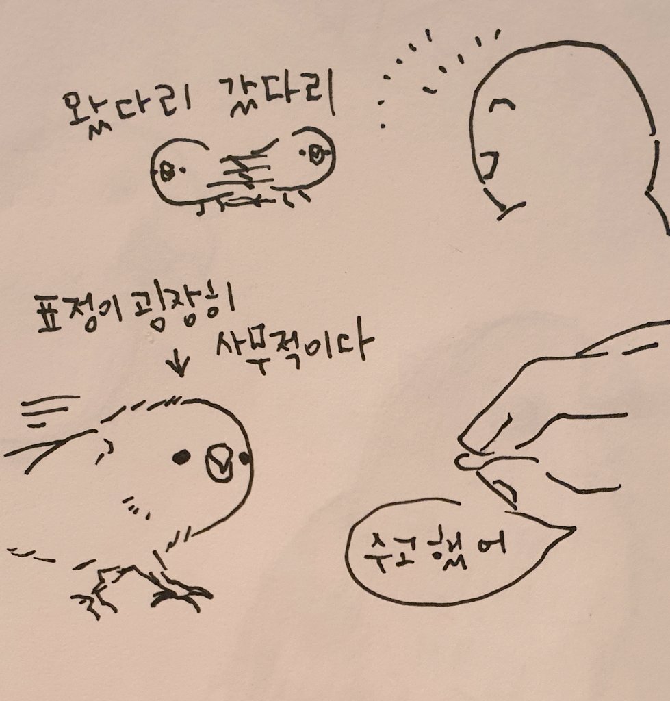 이제 매번하진 않지만 눈치껏 제가 원하는것같으면 해줍니다 