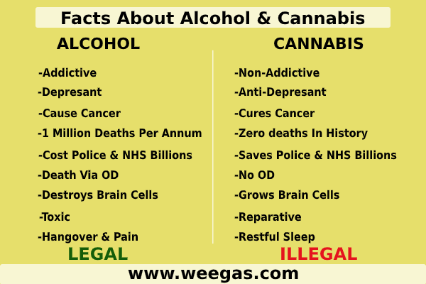 weegasdotcom's tweet photo. Let's check the facts about Alcohol &amp; Cannabis.
#Facts #alcohol #cannbais #healthcare https://t.co/zSbiprucGW