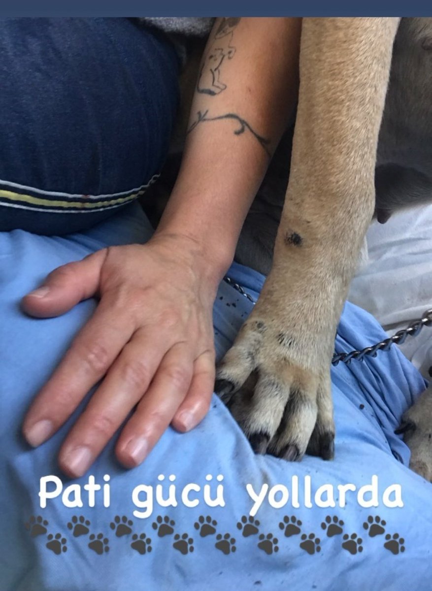 Bugun kisirlastirma gunumuz ✌✌