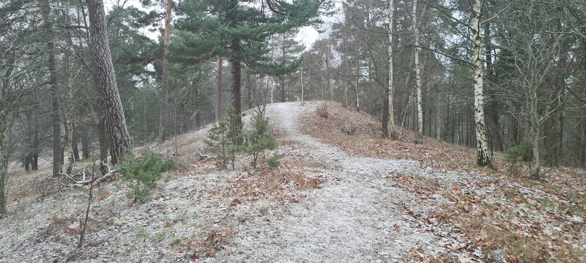AutarkSituation's tweet photo. Det som kallas för Björngraven / Björn JÀrnsidas grav. Identifikationen Àr vÀl lite sÄdÀr. Kanske Àr den kÀllan frÄn slutet av 1600-talet? (Peringsköld , riksantikvarie som @Riksantikvarie ) Runstenen dock frÄn 1000talet. "Torgöt de... . (hans) ande och Guds (moder)" #runsten https://t.co/Mhb7LTpKAj