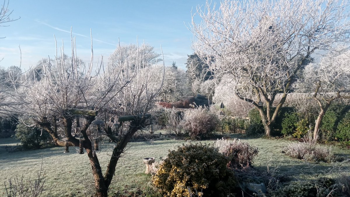 Stay safe and warm everybody.
❤️ Cracker