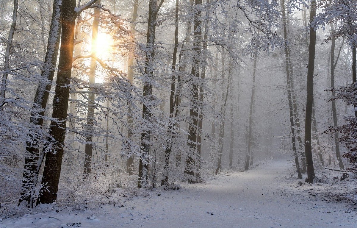 RAEinforma's tweet photo. #Actualidad | Nieve

El verbo «nevar» es irregular y se conjuga como «acertar». Por tanto, se dice «nieva» (no *«neva»).

Se explica la alternancia «e» ~ «ie» de casos como este en la «NGLE»: https://t.co/xVE4oBibuR (§ 1.7e-f) y https://t.co/klyEoMv1S1 (4.10d). https://t.co/ITPSOQoUYh