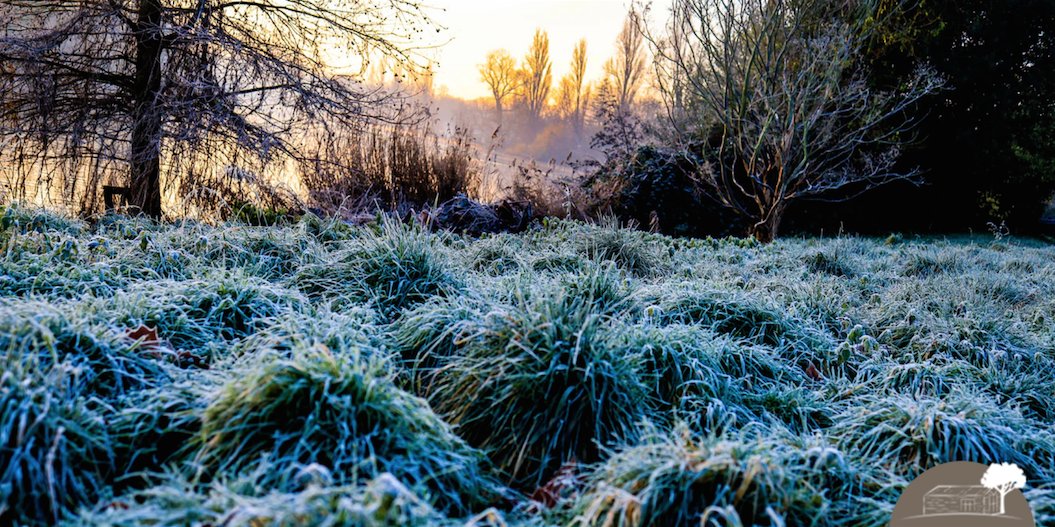 What a lovely frosty morning ❄️😂 #FrostyMorning #WinterSun