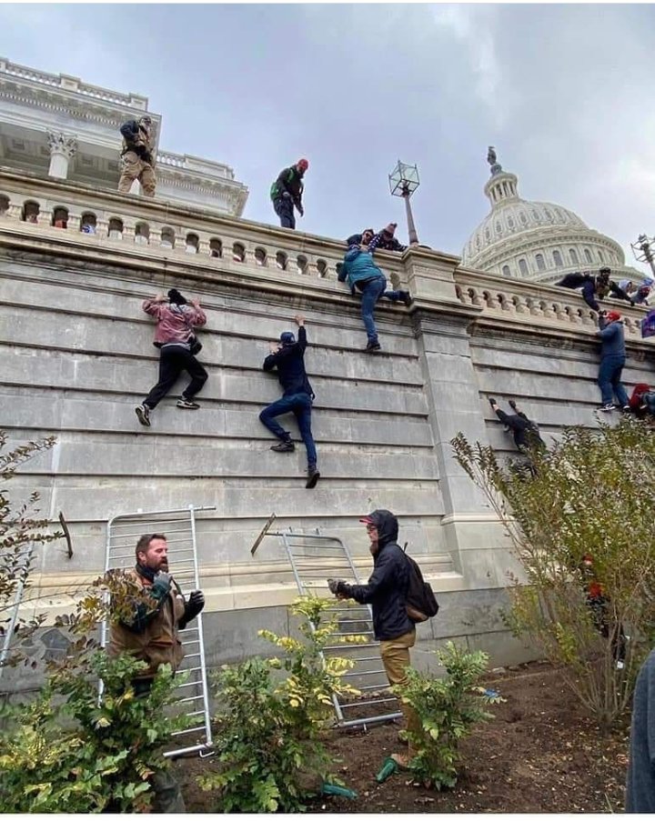 cai_dome's tweet photo. E se questi strafatti di fake news fossero stati tutti neri? Ho un'idea di come sarebbe andata a finire. #CapitolHill https://t.co/sDIRRz3IBr