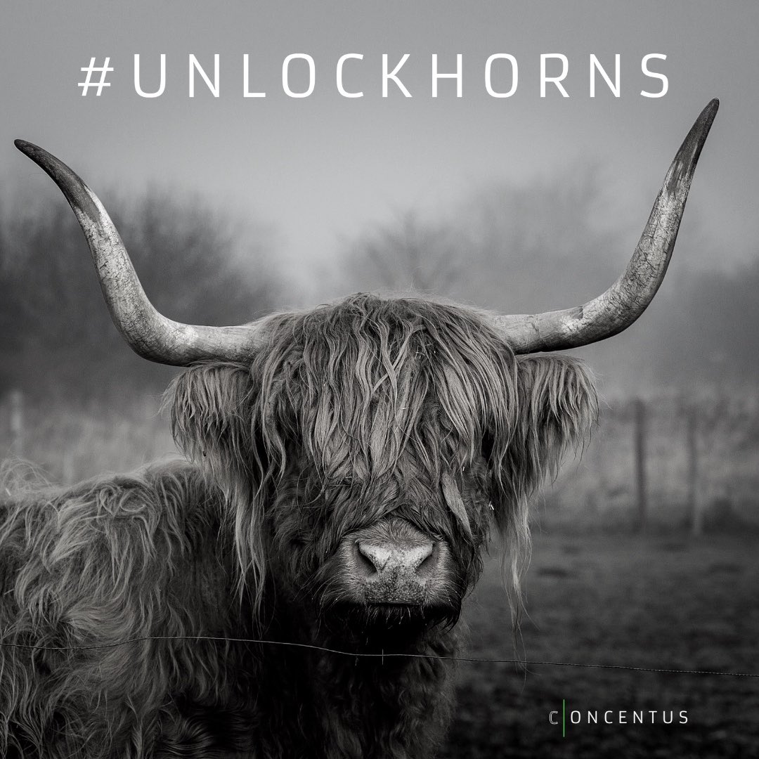 ConcentusADR's tweet photo. The agricultural sector is commonly affected by disputes over farming partnerships.
We have been described as understanding the complexities of bridging seemingly unbridgeable gaps in agricultural disputes.
##mediation #litigation #unlockhorns #farmingdispute https://t.co/kRGkomL6Ov