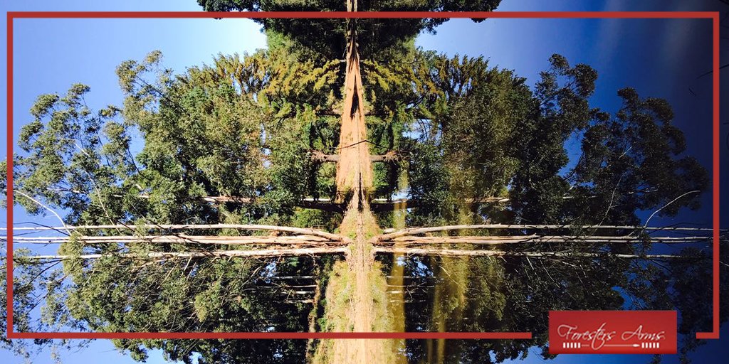ForestersArmsSD's tweet photo. Take time to reflect at the #ForestersArms hotel🌲
#eSwatini Book your stay with us by clicking here https://t.co/1ptGXtBZDg https://t.co/f7TdVmL56r