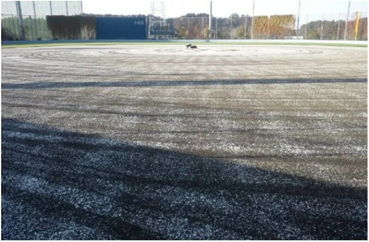 ボールパークドットコム Ballpark Com Ballpark02 Twitter