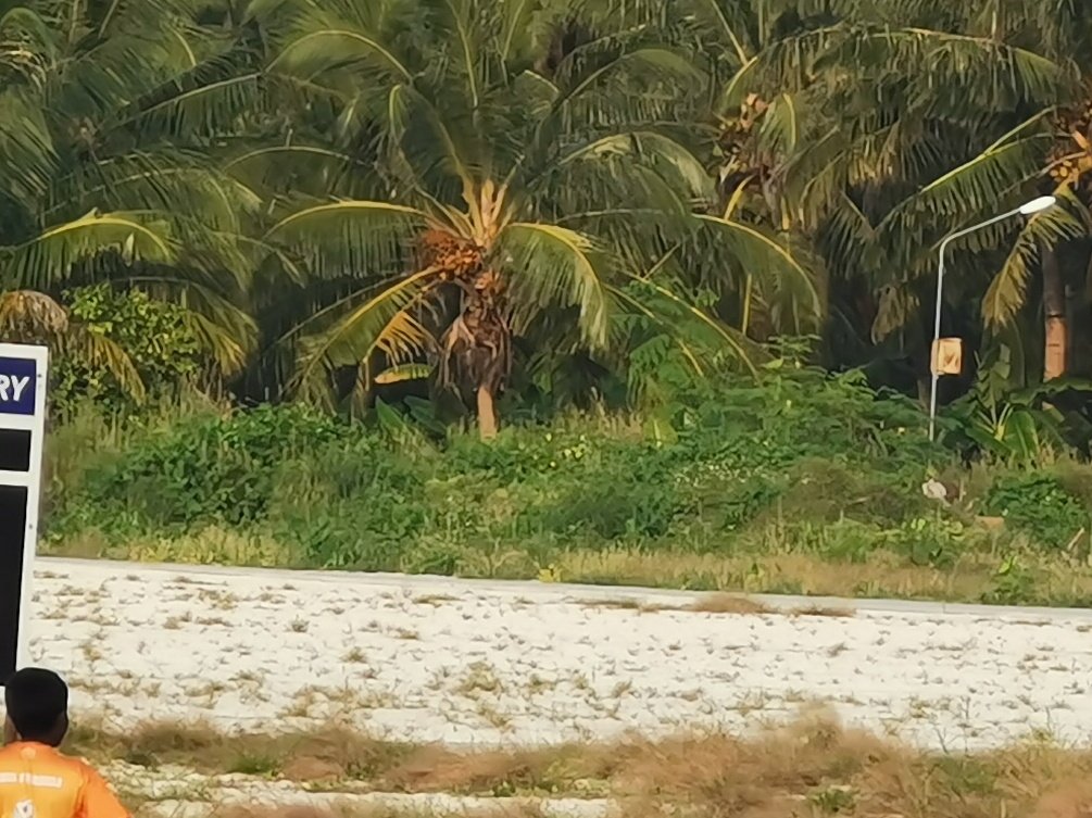 Hanimaadhooga alah hadhan feshi turf dhan'du. Bingandu ehvaru kohfa dhookolligothah, miohgen vinafalhaa vaavani. <a href="/AhmedMahloof/">Ahmed Mahloof</a> mimasahkay alun balun fashan nujeheyne thoa
@MoYSCEmv <a href="/gafoor_moosa/">Abdul Gafoor Moosa</a> @gafoor2656 <a href="/HD_Hanimadhoo/">Hanimaadhoo Council</a> <a href="/SaabbaEC/">Saabba Ekuveri Club</a> <a href="/HanimaadhooZJ/">Hanimaadhoo  ZJ</a>