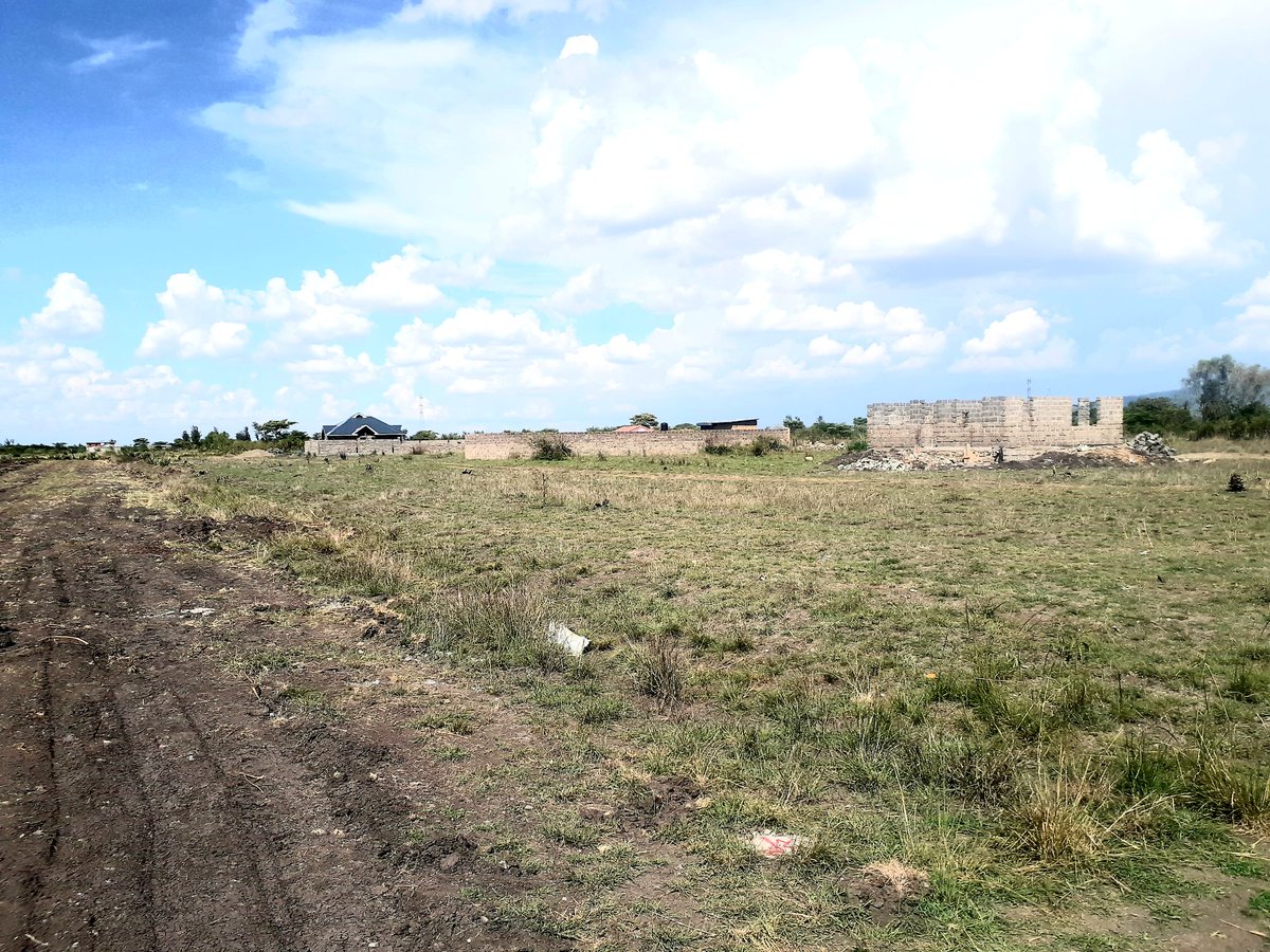 Purieshi's tweet photo. Is buying a plot your plan in 2012?
Why not invest in a plot in Juja farm and start the year by fulfilling that dream! 
Aprox 13km from thika SuperHighway Size: 50 ×100 
CashPrice 850,000 
3 months 900K
6 months 950K
Call/text or WhatsApp 0781646292
Kikuyus and kalenjins
Mwaura https://t.co/8vYmeqWmFr