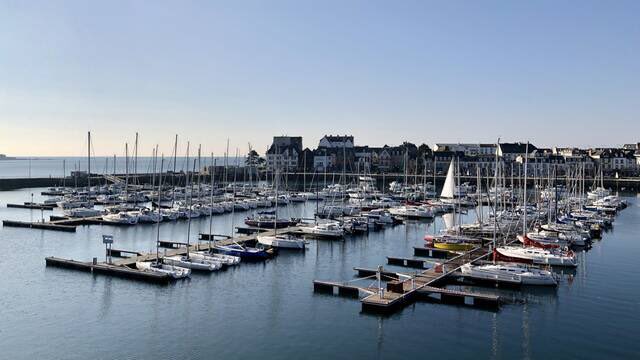 Michaël Quernez tweet media