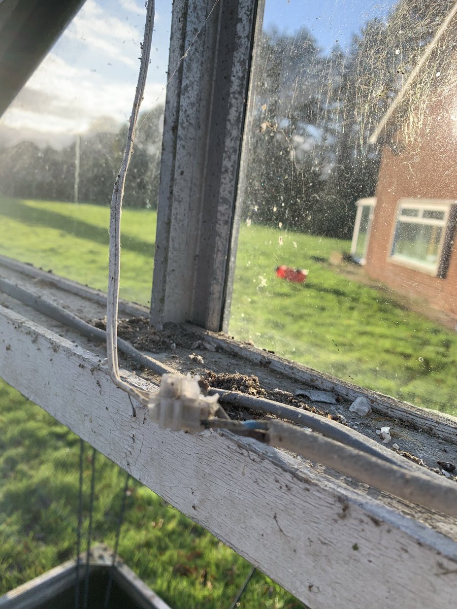 People you can’t use bell wire for 230 volts #DANGER