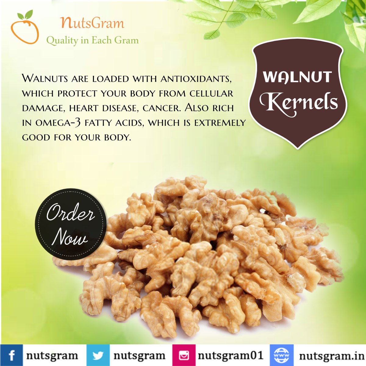 nutsgram's tweet photo. Buy best quality #walnuts at reasonable price in #delhi India. Shop Now 👉 https://t.co/J86mAmaZL0 or Order at 9278271010
#Nutsgram #Dryfruits #DriedFruits #Antioxidants #Nuts #healthysnacks #healthyfood #healthylife #Snacks #WalnutsKernels #WalnutLooseKernels https://t.co/a0FhDOmiQ2