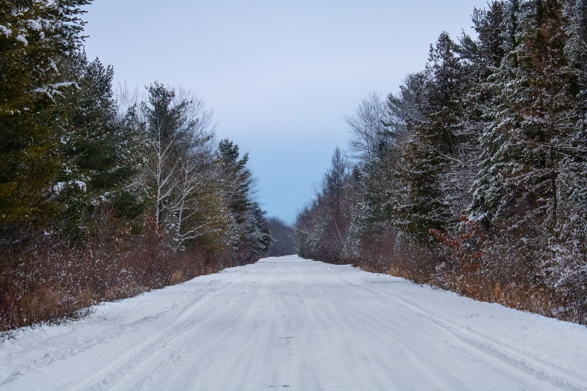 MagnaImages's tweet photo. So the weather is making the skies dull, the colors drab, and the trees absolutely beautiful. I love how the colors of the winter are so muted yet so subtly wonderful in their hues. 

#baycity #baycitymi #pinconningmi #pinconning #stateparks https://t.co/sTcPpscxNO