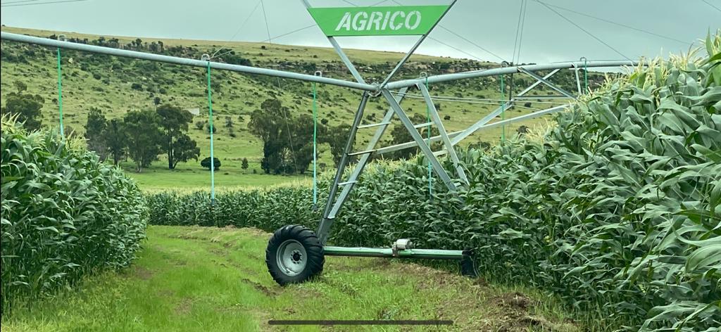 Agrico_ZA's tweet photo. Thanks for this #Agrico #CentrePivot photo from Petrus van Eeden, Harrismith https://t.co/kMZAONEKXk