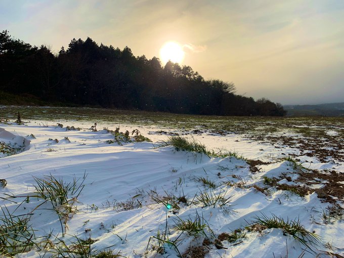 雪が風に削られて面白い形になってる 