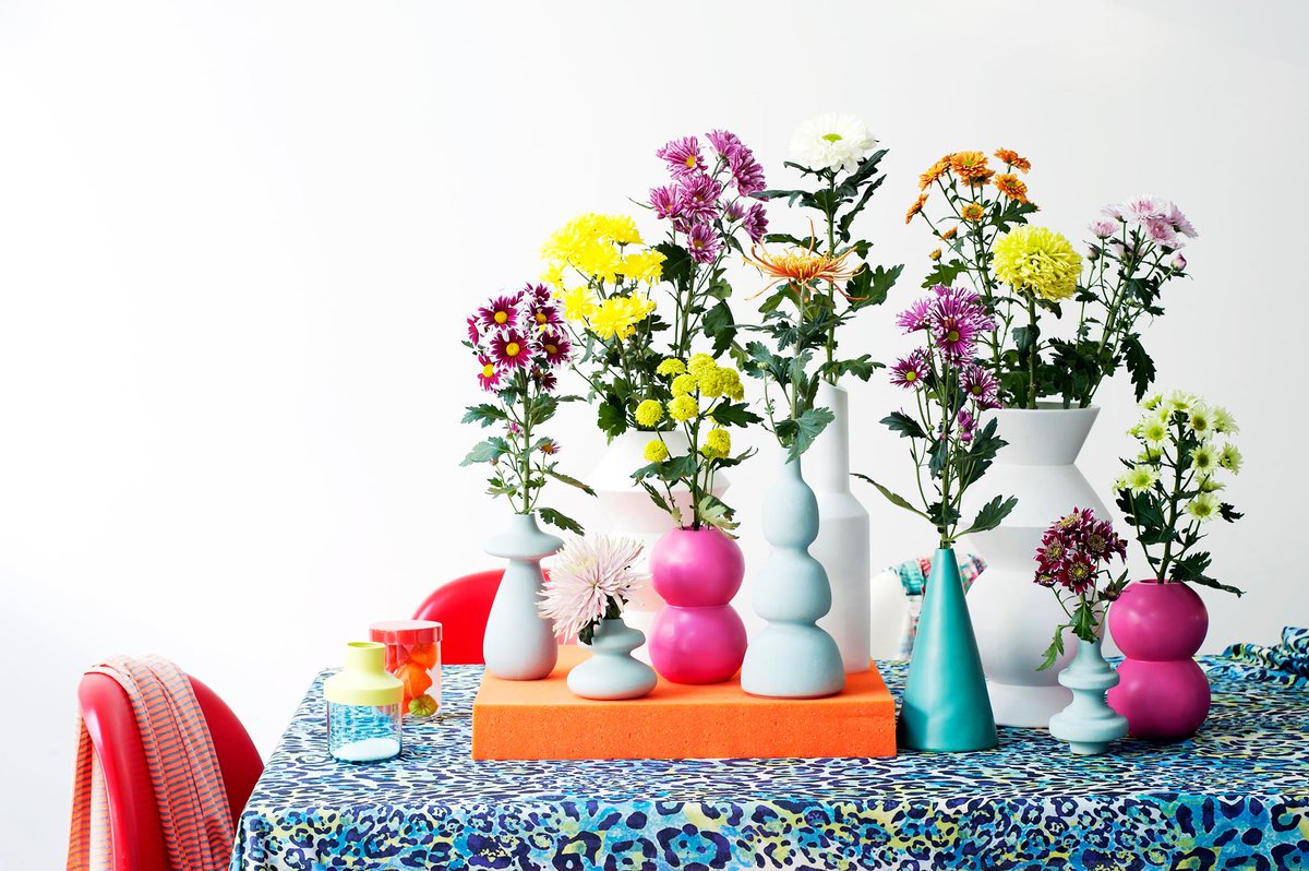 De Chrysant is een bloem die veel warmte en kleur brengt. De bloem herken je aan de opvallende en gekleurde bloemetjes. De Chrysant staat symbolisch voor geluk en gezondheid.  #vandijkflora #ditisvdf #openuptogrow #chrysanthemum #chrysant