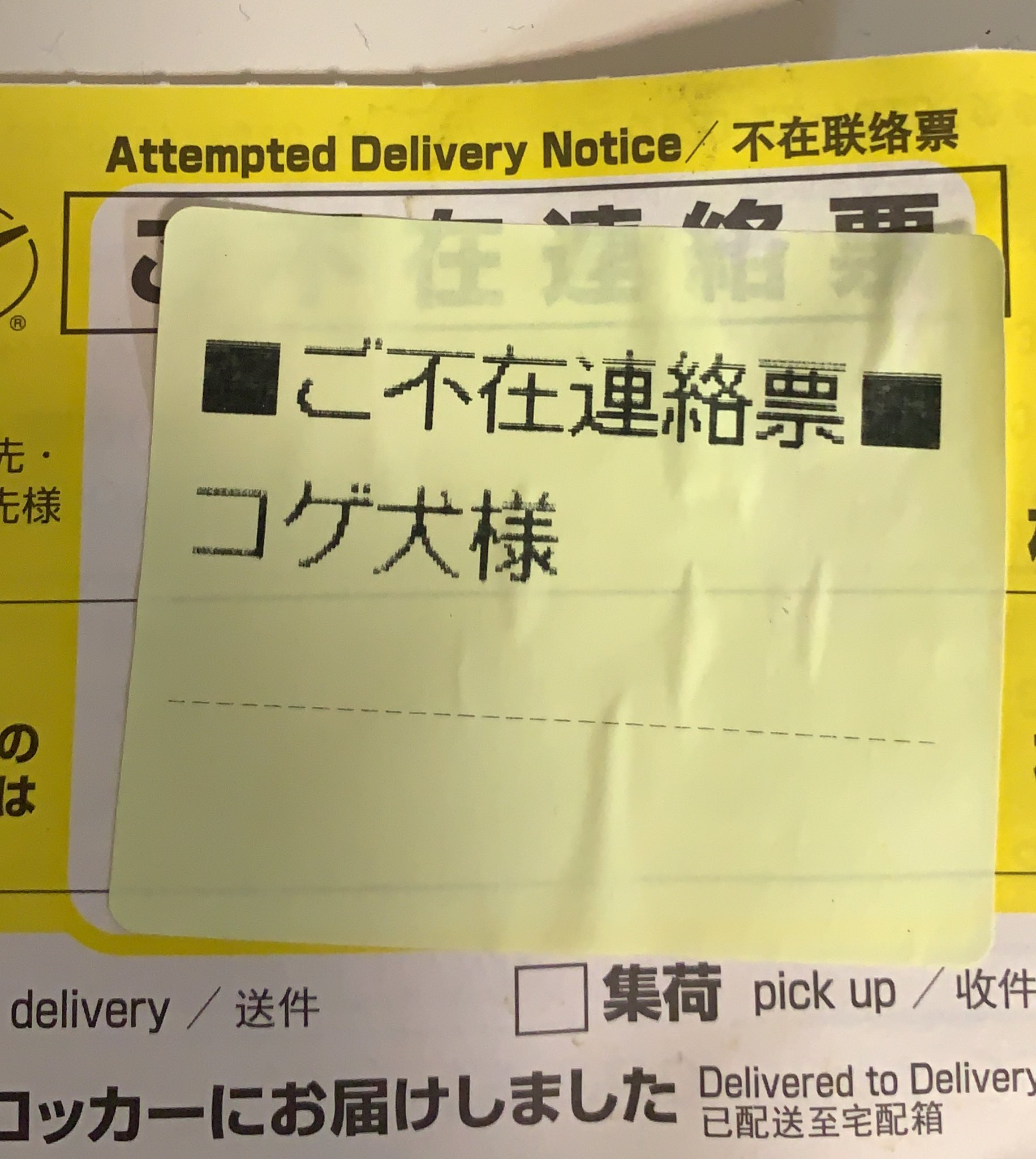 コゲ犬 しんどwwwwwwwwwwwwwwwwwwwwwwwwwwwwwwwwwwwwwwwwwwwwwwwwwwwwwwww コゲ犬 しんどwwwwwwwwwwwwwwwwwwwwwwwwwwwwwwwwwwwwwwwwwwwwwwwwwwwwwwww