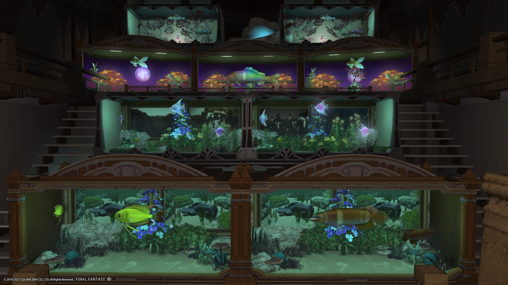 Zvyknuti Suplik Choroba Scvrknut Sa Veta Prechladnutie Ff14 アクアリウム クラゲ Classicfloralsandrentals Com