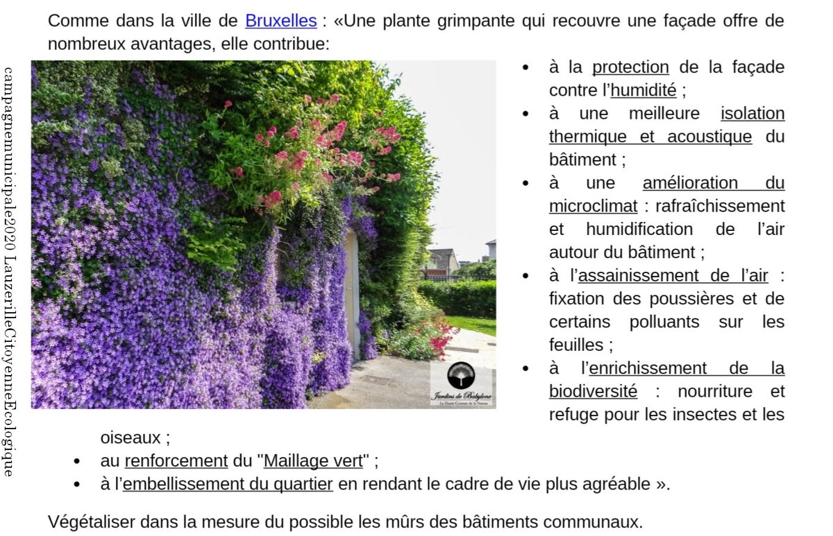 Projet de #végétalisation extérieure de la #SalleDesFêtes -Budget prévisionnel de 20.000€- Nous notons que la majorité a évoqué la végétalisation des mûrs extérieurs : CM du 17/12/2020
Voir notre travail de #CampagneMunicipale2020 sur : lauzervillecitoyenneetecologique.fr/article-ip/