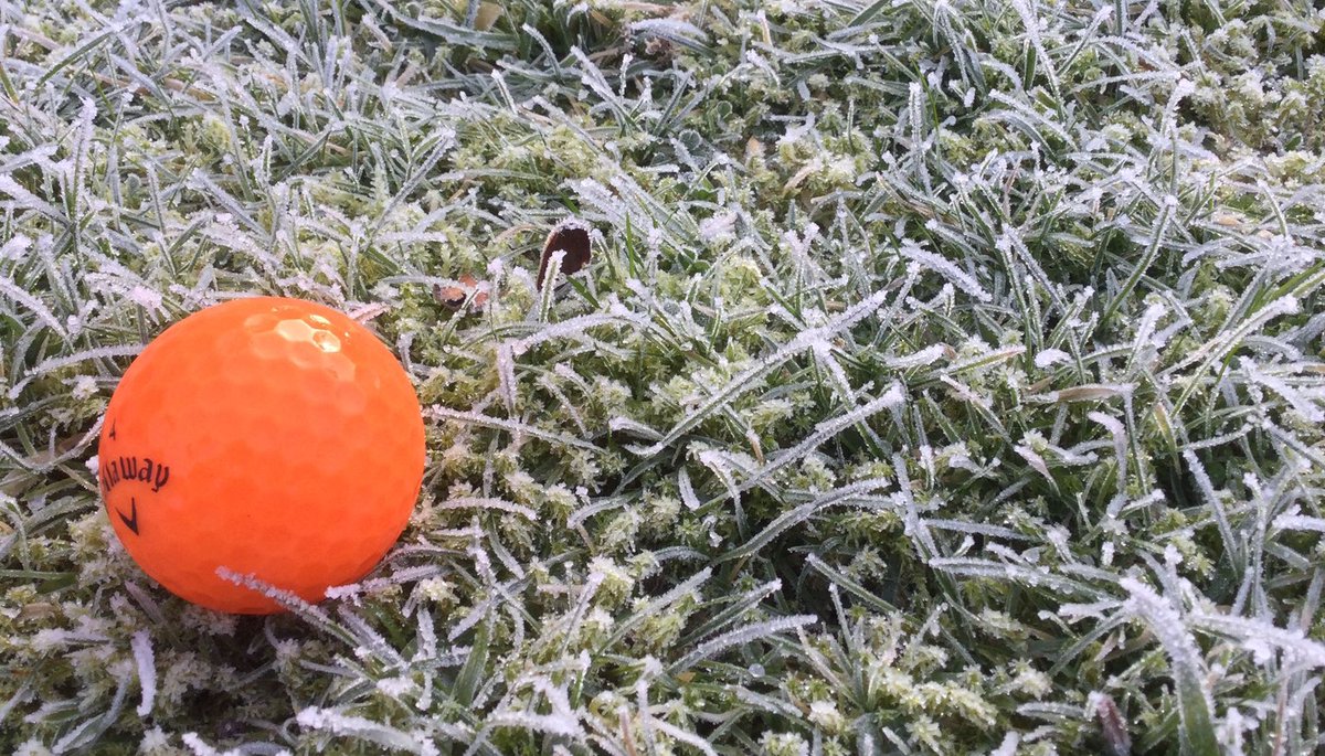 WergsGolfClub's tweet photo. Memories of frosty morning golf. Once the greens have thawed and you’re good to go that fresh, crisp winter air can’t be beaten for blowing the cobwebs away. 
#winter #golf #golflife #freshair #goodforthemind #goodforthesoul #walkinstead #almostasgood #lookforward #timegoesquick https://t.co/3mTvNubWKU