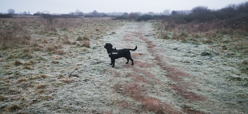 Solent Sports tweet media