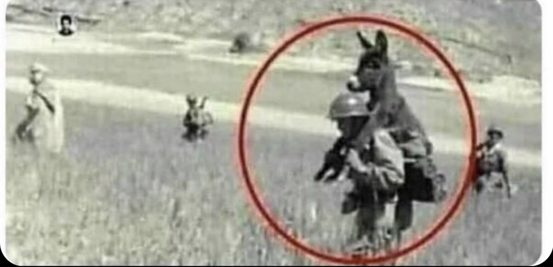 fgf_01's tweet photo. هذا الجندي الذي يحمل الحمار
 ليس بدافع الحب !
وإنما بسبب تواجدهم بحقل الغام لان اي خطوه خاطئه من الحمار تؤدي بهم الى الهلاك !!
.
.
بعض الاحيان يجب علينا تحمل الحمير الي حولنا عشان نحمي انفسنا ؟! https://t.co/GC1E9EaMjA