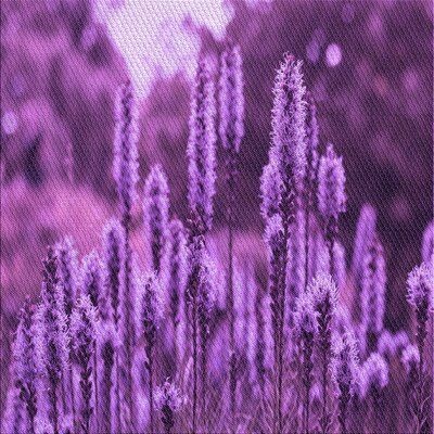 ★ when was the last time you laughed too hard? ★