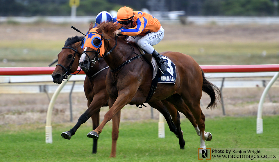TeAkauRacing's tweet photo. The full brother to @TeAkauShark Baby Shark, also purchased by David Ellis @KarakaChat devoured his opposition today in the hands of @CraigGrylls  - read his story here .... https://t.co/tsTctkfKDC #thewinningcontinues @JamieRichards3 https://t.co/Hqhq5d0aoj