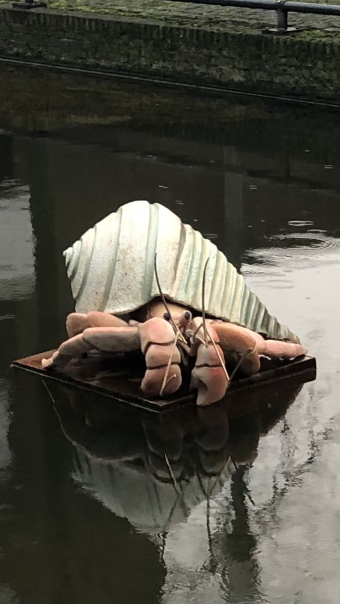 Mirella Amato🇳🇱🇪🇸 tweet media