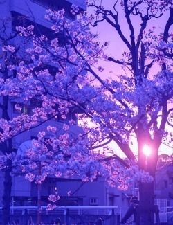 ★ do you have a crush on anyone? ★★If yes, would you tell them? ★