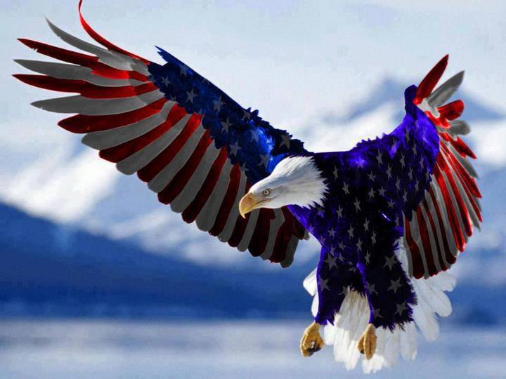 WengerJeffrey's tweet image. I have Purged my Acct People Suck Don't Tread on me  #NOTMYPRESIDENTBIDEN  #Biteme